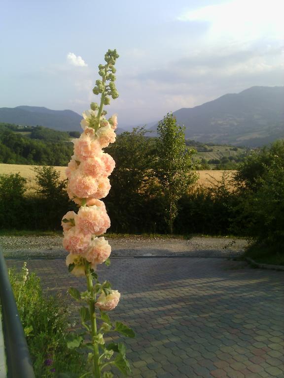 Poggio D'Incanto Bettola  Екстер'єр фото